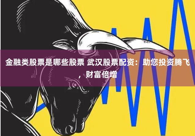 金融类股票是哪些股票 武汉股票配资：助您投资腾飞，财富倍增